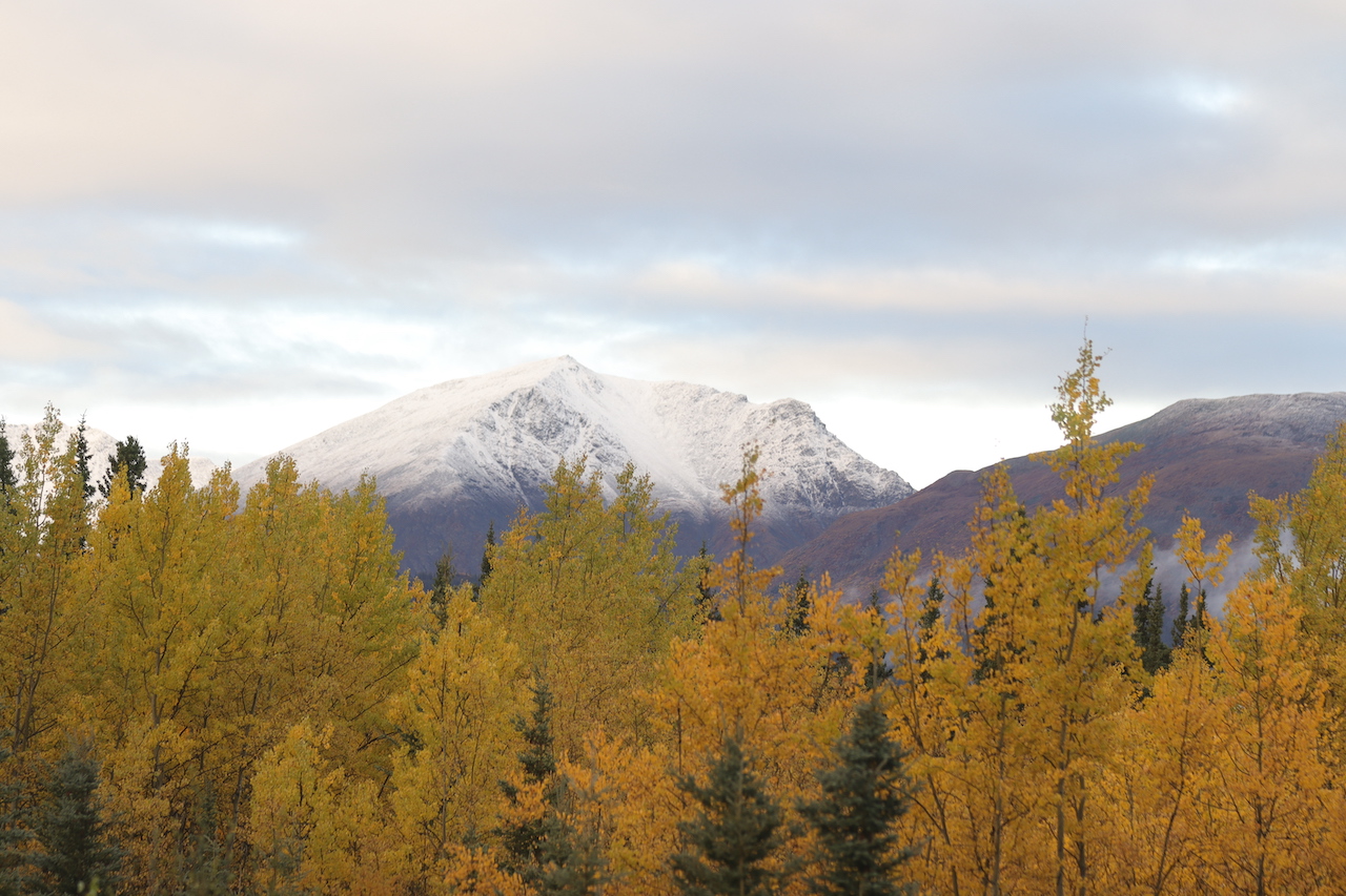 Hiking in Whitehorse